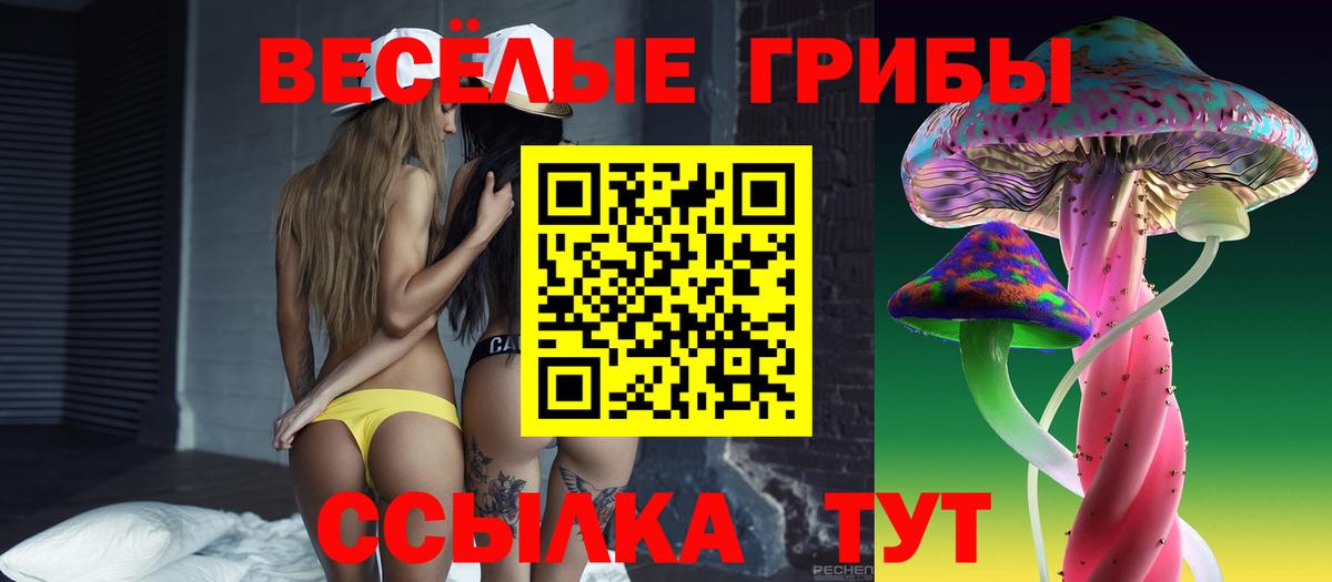 Самара  Псилоцибиновые грибы GOLDEN TEACHER  Вход с VPN 