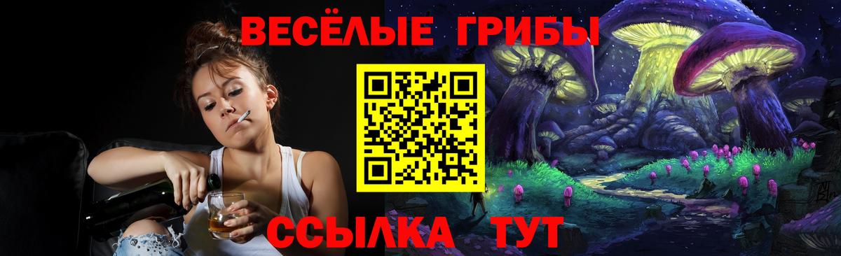 Галлюциногенные грибы мухоморы Самара